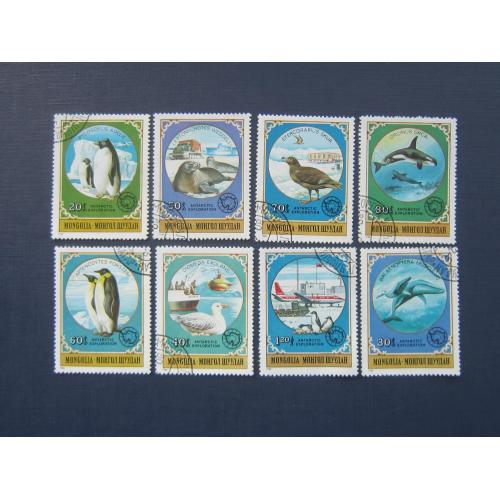 8 марок Монголия 1980 Антарктида фауна пингвины чайки киты касатки тюлени гаш