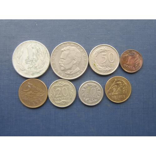 8 монет Польша разные одним лотом хорошее начало коллекции