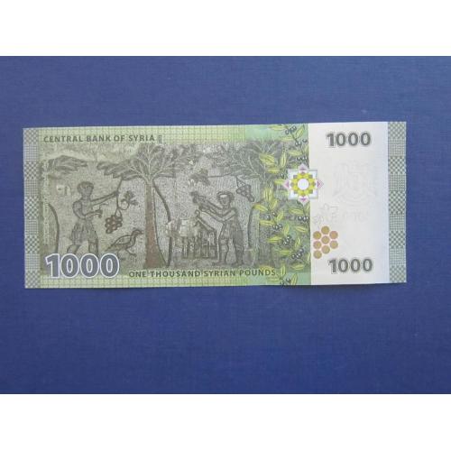 Банкнота 1000 фунтов Сирия 2013 древняя мозаика UNC пресс