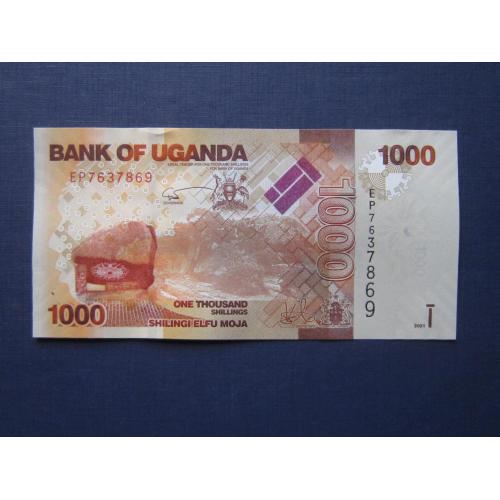 Банкнота 1000 шиллингов Уганда 2021 фауна антилопа UNC пресс