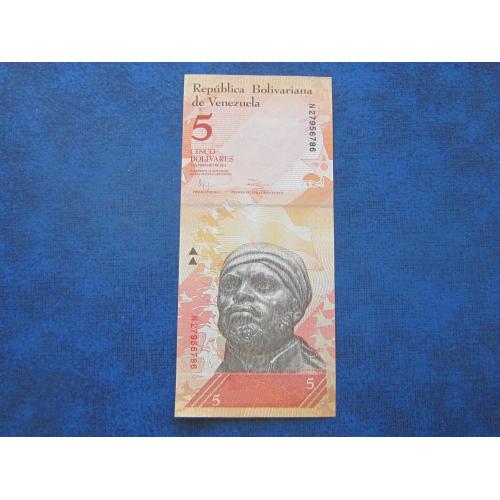 Банкнота 5 боливаров Венесуэла 2011 фауна броненосец UNC пресс