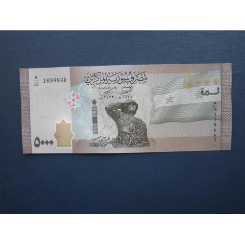 Банкнота 5000 фунтов Сирия 2023 UNC пресс