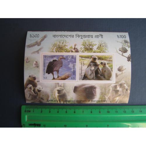 Блок 2 марки Бангладеш 2012 фауна птах мавпи без зубців MNH КЦ 4 $