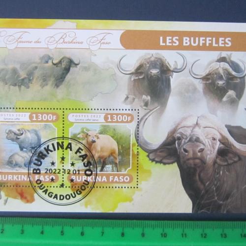Блок 2 марки Буркина - Фасо 2022 фауна буйвол гаш