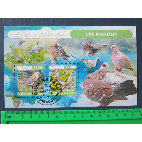 Блок 2 марки Буркина - Фасо 2022 фауна птицы джунглей гаш