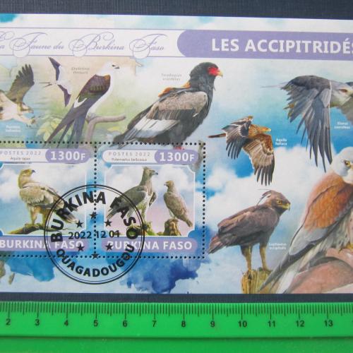 Блок 2 марки Буркина - Фасо 2022 фауна птицы хищные орлы гаш