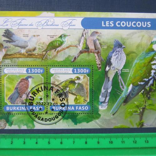 блок 2 марки Буркина - Фасо 2022 фауна птицы тропиков гаш
