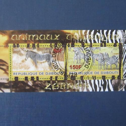 Блок 2 марки Джибути 2010 фауна зебры гаш