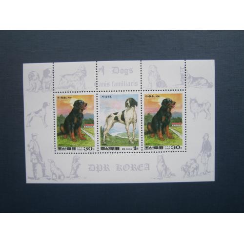 Блок 3 марк Північна Корея 1994 фауна собака порода пойнтер бернез MNH