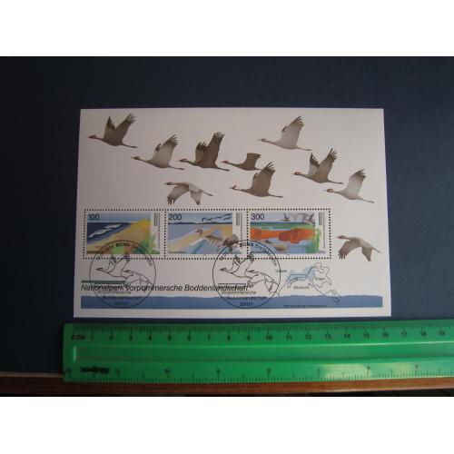 Блок 3 марки Німеччина ФРН 1996 фауна птахи лелеки спецгасіння КЦ 7 $