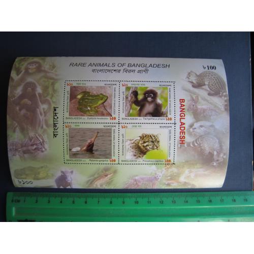Блок 4 марки Бангладеш 2011 фауна жаба мавпа дельфін вівера MNH КЦ 7 $ прим'ятий кут