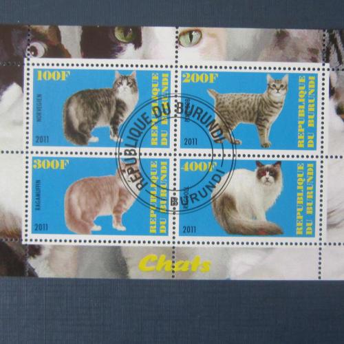 Блок 4 марки Бурунди 2011 фауна коты кошки гаш №3