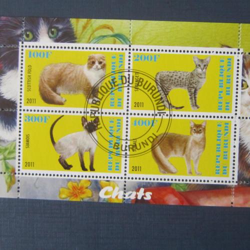 Блок 4 марки Бурунди 2011 фауна коты кошки гаш №5
