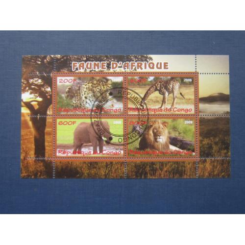 Блок 4 марки Конго 2009 фауна леопард лев слон жираф гаш