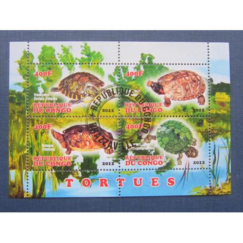 Блок 4 марки Конго 2012 фауна черепахи гаш