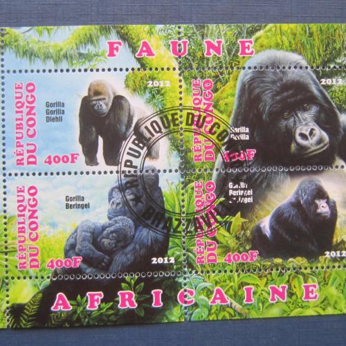 Блок 4 марки Конго 2012 фауна обезьяны гориллы гаш