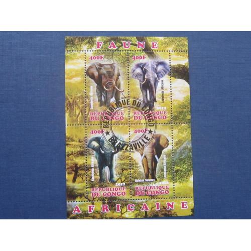 Блок 4 марки Конго 2012 фауна слоны гаш