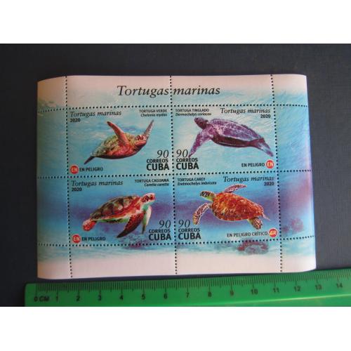 Блок 4 марки Куба 2020 фауна черепахи MNH