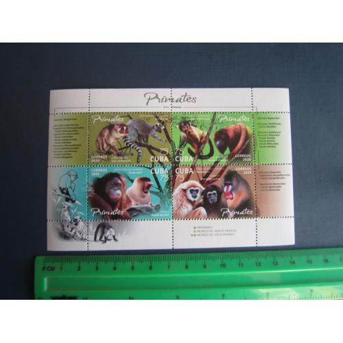 Блок 4 марки Куба 2020 фауна мавпи лемури MNH