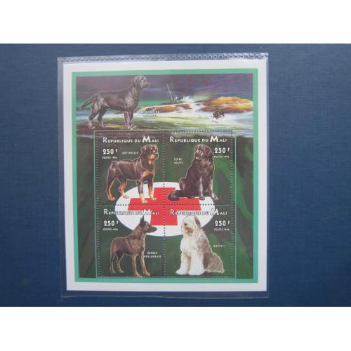 Блок 4 марки Малі 1996 фауна собака породи MNH КЦ 6 $