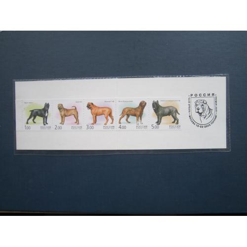 Буклет 5 марок 2002 фауна собака породи рідкісні великі MNH СГ тираж 10000 прим