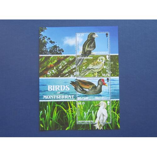 Блок 4 марки Остров Монсеррат 2009 фауна птицы MNH КЦ 9 $