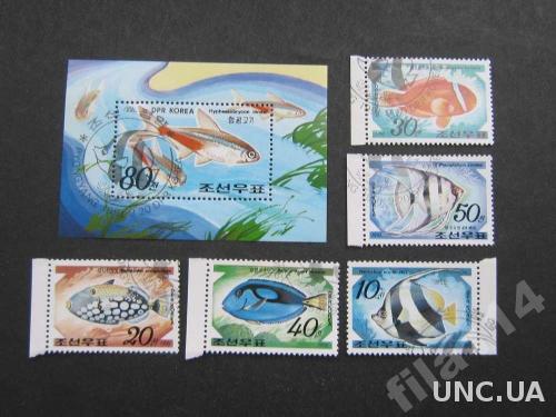 блок+5 марок Корея 1991 рыбы

