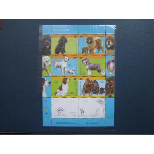Блок 6 марок Аргентина 2006 фауна собаки породи MNH