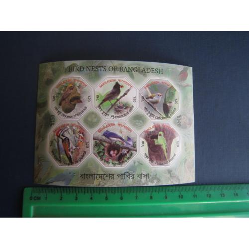 Блок 6 марок Бангладеш 2012 фауна птахи без зубців MNH КЦ 12 $