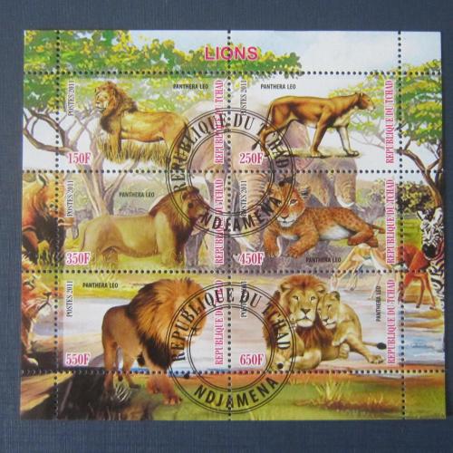 Блок 6 марок Чад 2011 фауна Африки лев пантера леопард гаш
