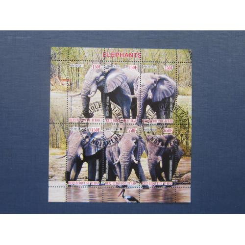 Блок 6 марок Чад 2011 фауна слоны гаш