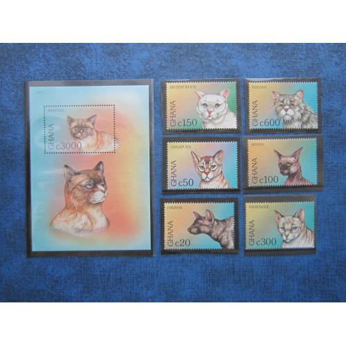 Блок+6 марок Гана 1997 фауна коты кошки домашние MNH КЦ 10 $