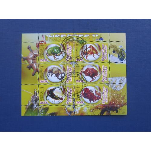 Блок 6 марок Конго 2010 фауна насекомые жуки сверчок клоп гаш