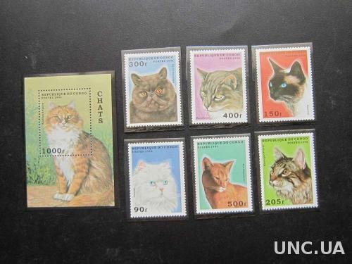 блок+6 марок Конго кошки коты MNH полная
