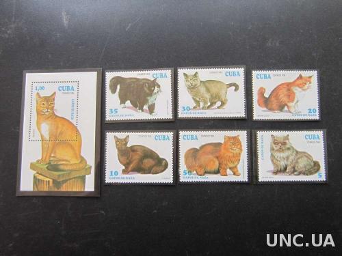 блок + 6 марок Куба 1994 кошки коты MNH
