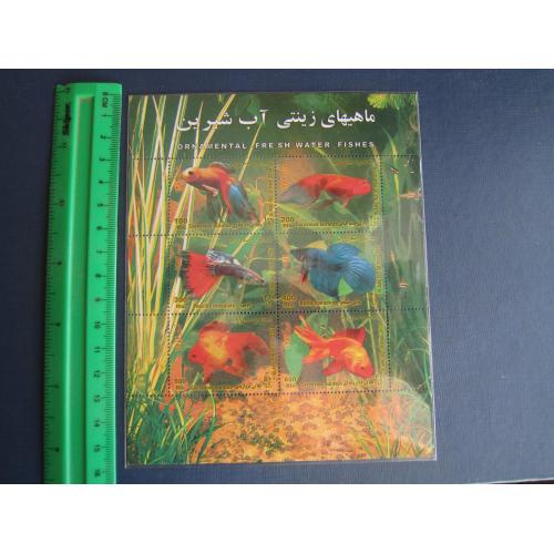 Блок 6 марок Іран 2003 морська фауна акваріумні рибки  MNH