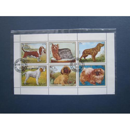 Блок 6 марок Шарджа Об'єднані Арабські Емірати 1972 фауна собаки породи гаш