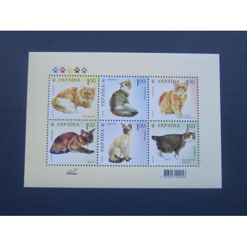 Блок 6 марок Украина 2008 фауна коты кошки породы MNH