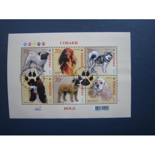 Блок 6 марок Україна 2007 фауна собаки породи спецгасіння СГ