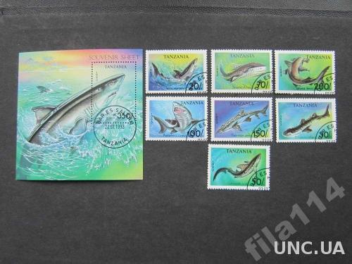 блок+7 марок Танзания 1993 акулы полная
