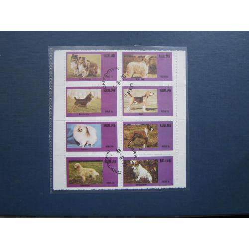 Блок 8 марок Нагаленд 1973 фауна собаки породи гаш