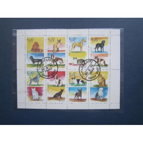 Блок 8 марок Оман 1972 фауна собаки породи коти гаш
