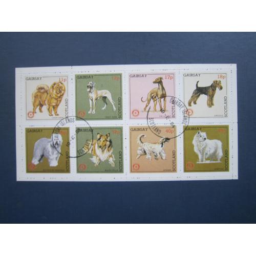 Блок 8 марок Острів Гайрсей Шотландія Великобританія 1984 фауна собаки породи гаш