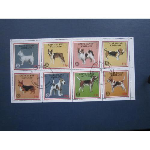Блок 8 марок Острів Калве Шотландія Великобританія 1984 фауна собаки породи гаш