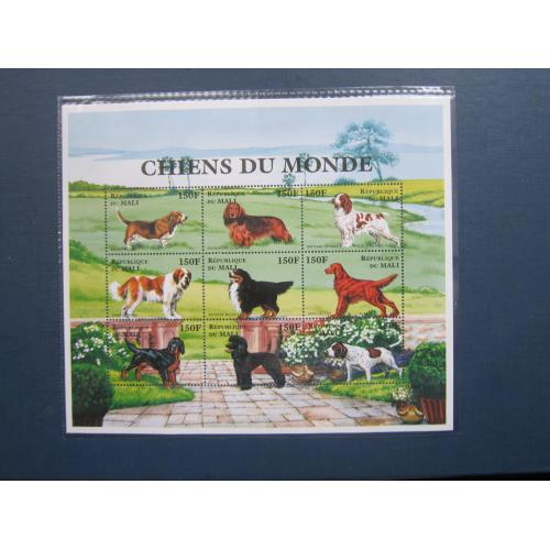 Блок 9 марок Малі 1997 фауна собака породи MNH КЦ 10 $
