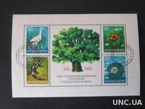 блок Болгария 1986 флора фауна дерево как есть
