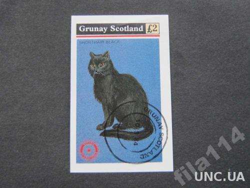 блок Грюнэй Шотландия 1984 фауна кошка
