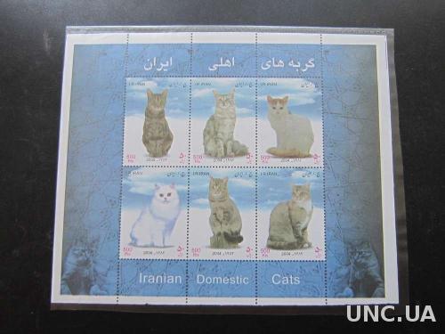 блок Иран 2004 кошки коты MNH
