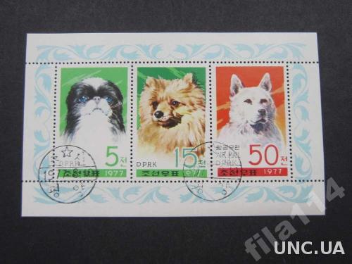 блок Корея 1977 собаки
