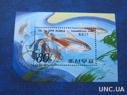 блок Корея 1991 фауна рыбы
